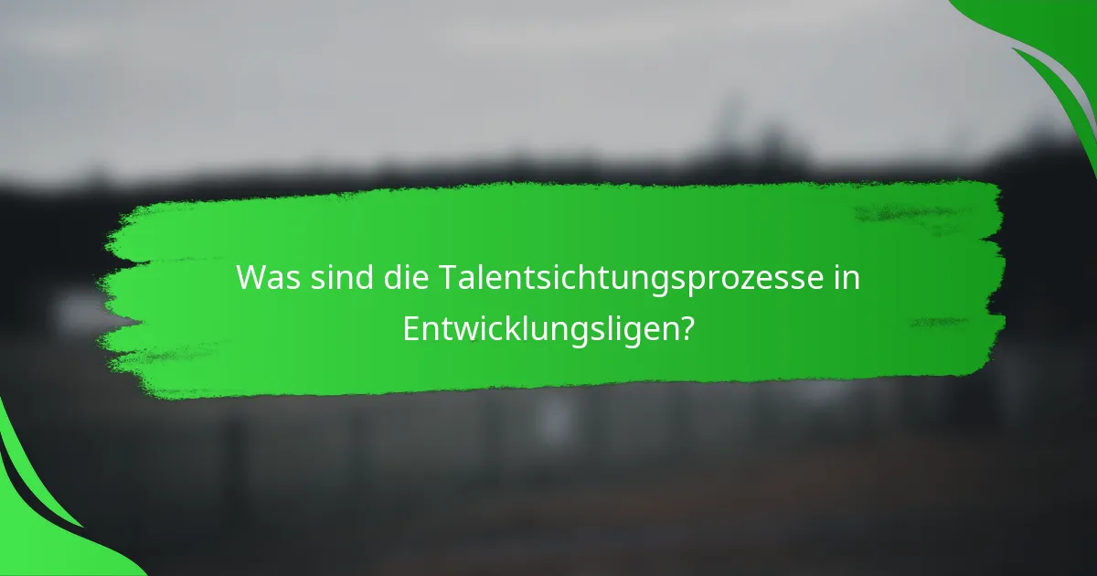 Was sind die Talentsichtungsprozesse in Entwicklungsligen?