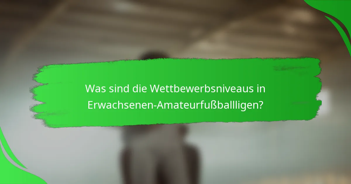 Was sind die Wettbewerbsniveaus in Erwachsenen-Amateurfußballligen?