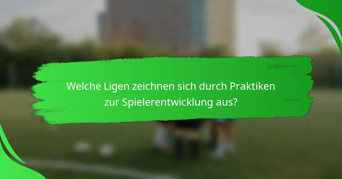 Welche Ligen zeichnen sich durch Praktiken zur Spielerentwicklung aus?
