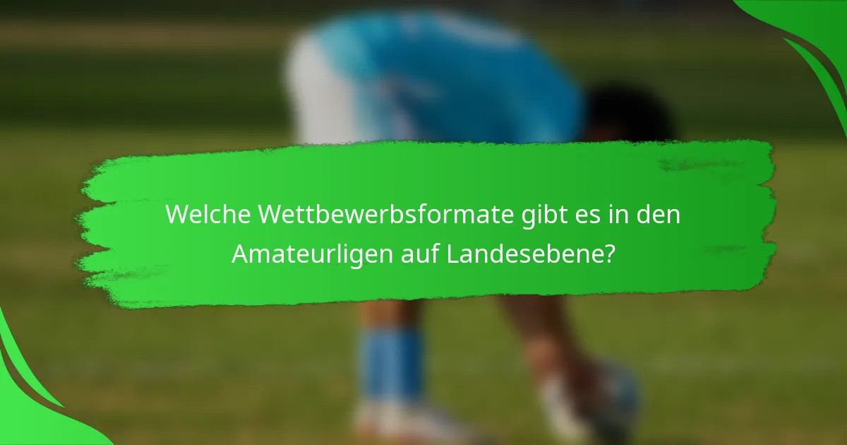 Welche Wettbewerbsformate gibt es in den Amateurligen auf Landesebene?
